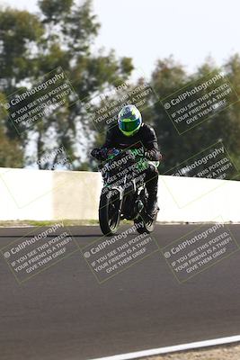 media/Feb-16-2025-TrackDaz (Sun) [[85eae43da9]]/C Group/140pm (Wheelie Dip)/